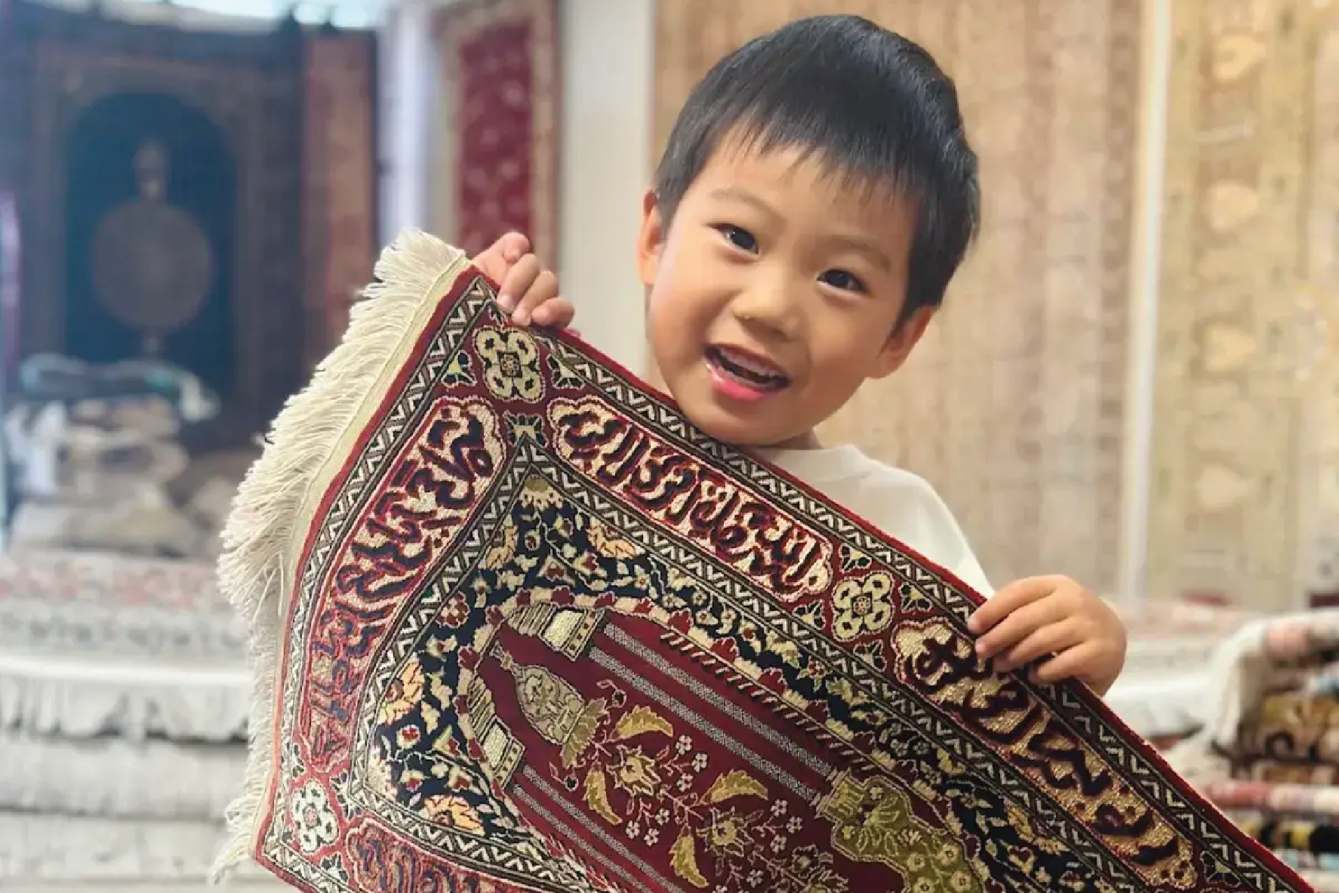 Signature Collection