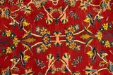 Sarouk Wool Rug 7.0x10.0 View 2