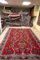 Sarouk Wool Rug 7.0x10.0 View 4