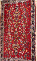 Sarouk Wool Rug 7.0x10.0 Main View