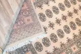 Bokhara Wool Rug 4'x5.11' View 4