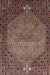 Sanandaj Wool Rug 8.1x11.7 Main View