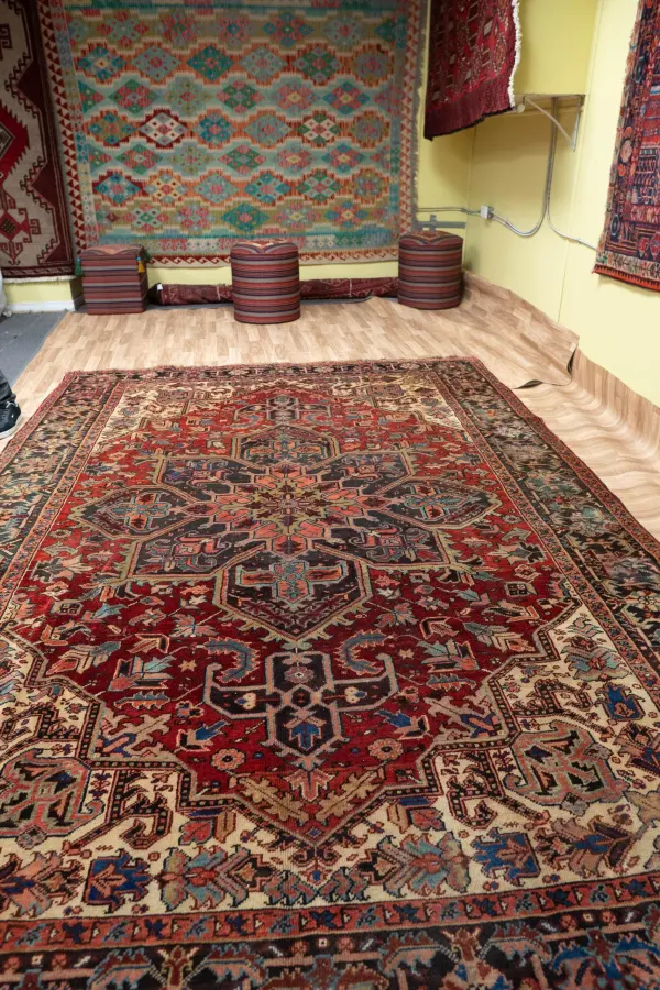 Hariz Wool Rug 7.5x10.9