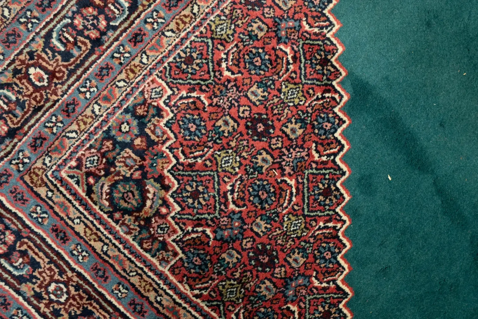 Bidjar Wool Rug 6 x 9' View 2