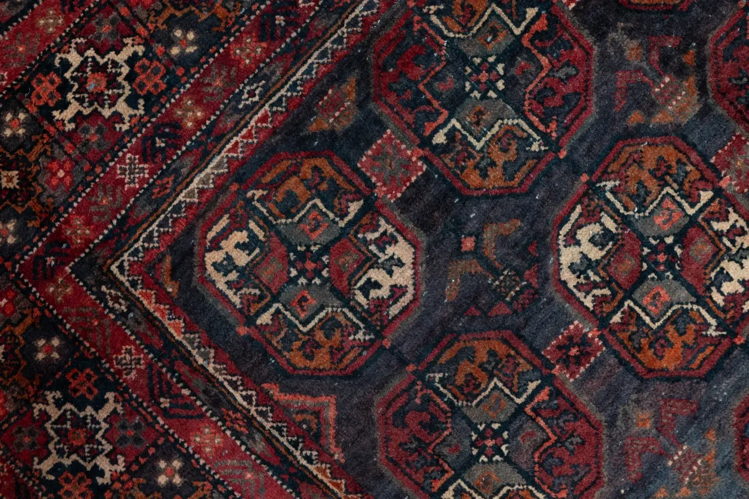 Turkman 4.0 × 9.0 View 2