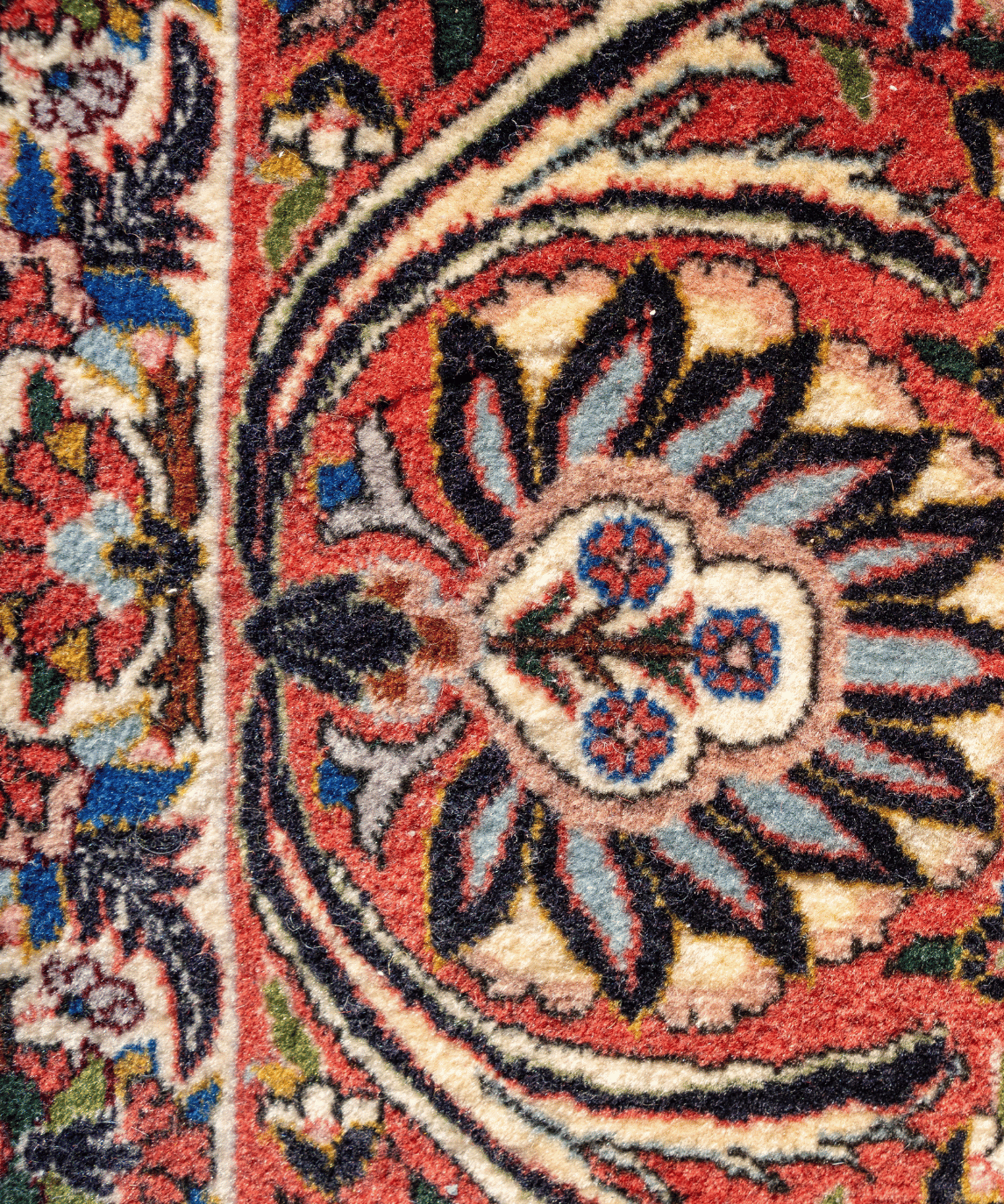 Bidjar Kork Wool Rug – 8'2" × 9'6" View 5