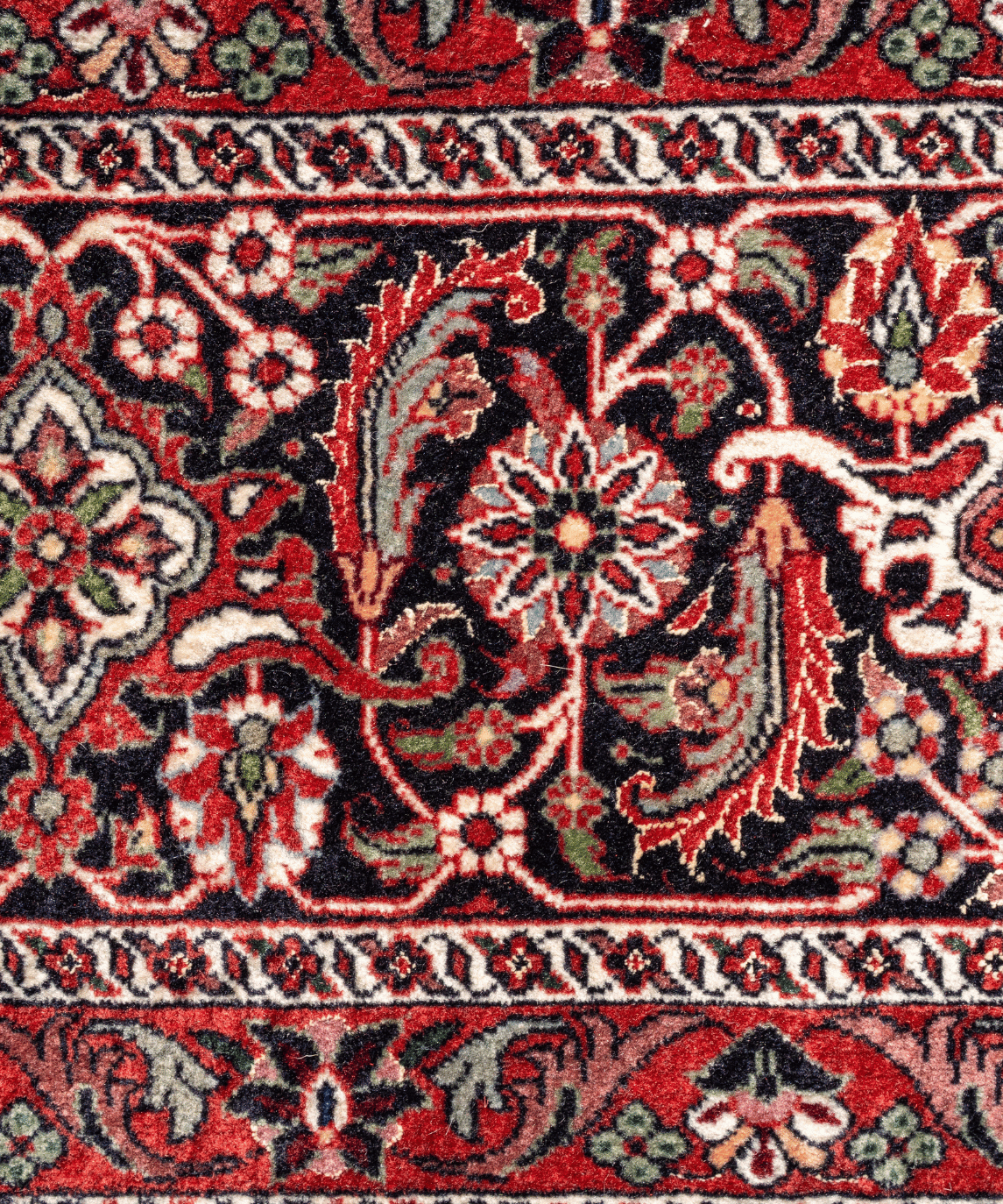 Fine Bidjar Wool & Silk Rug – 10'1" × 12'10" View 9