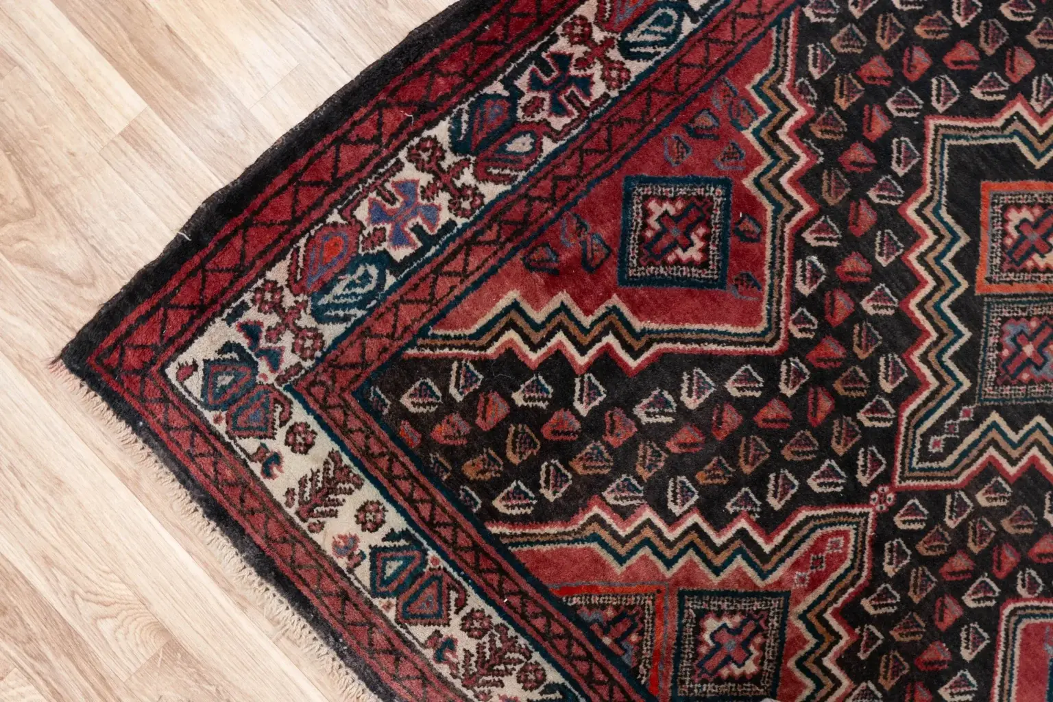 Hamadan Wool Rug 4.2 x 9.2 View 3