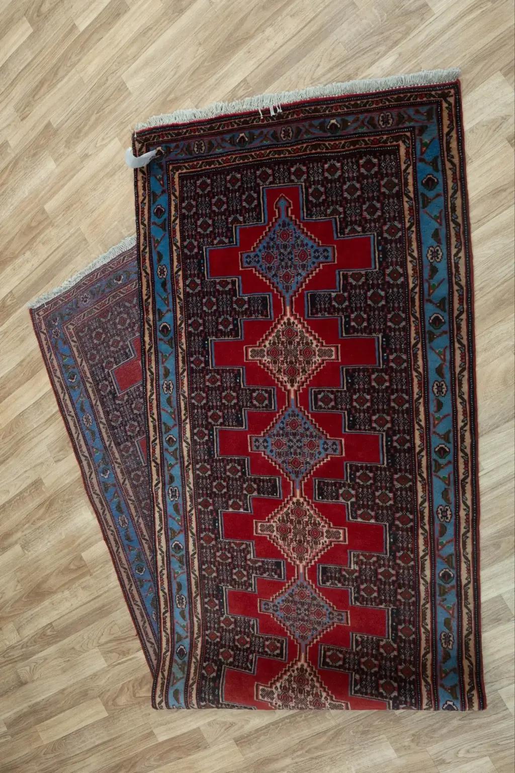 Bidjar Wool Rug 2.9 x 9.3' View 2