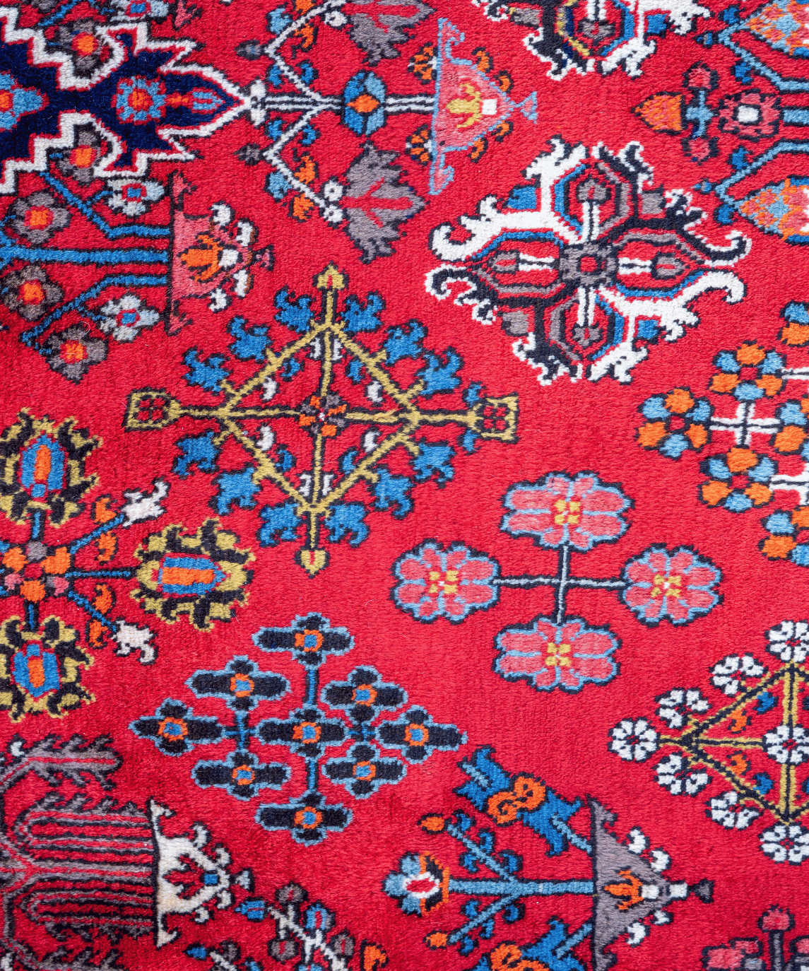 Traditional Maymeh Kork Wool Handwoven Oriental Rug – 8'6" × 11'7" View 2