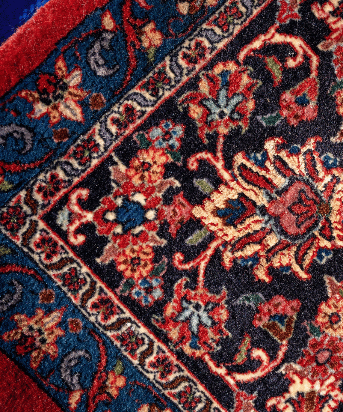 Bidjar Wool & Silk Rug – 10' × 13'4" View 5
