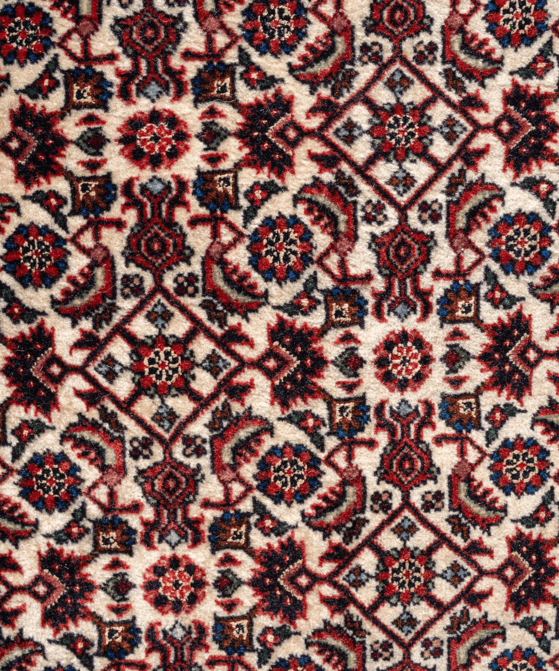 Fine Bidjar Wool & Silk Rug – 10'1" × 12'10" View 8