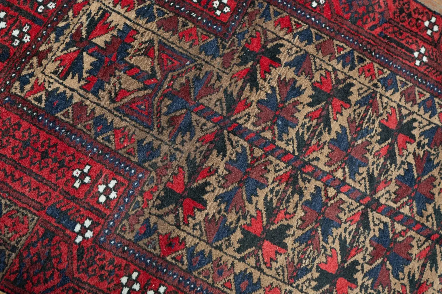 Baluch Low Pile 2.8 × 5.0 View 3