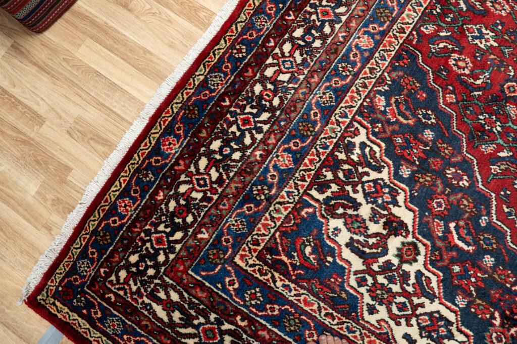 Hamadan Wool Rug 8.5'x11' View 5