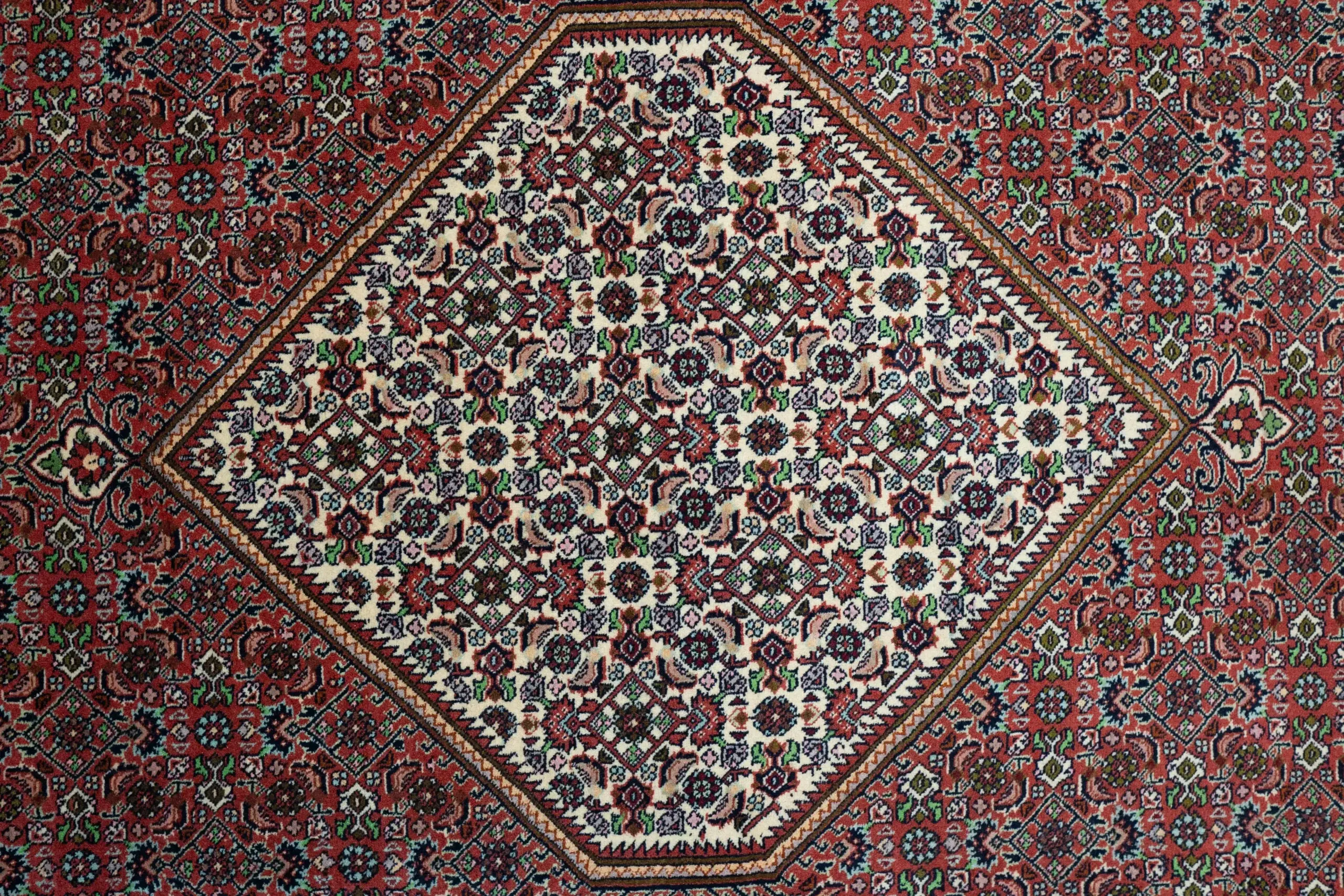 Bidjar Wool Rug 6.7 x 9.7' View 1