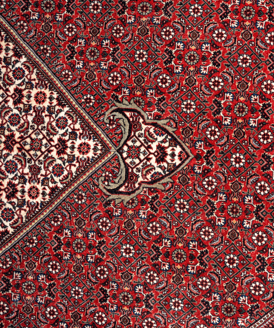 Fine Bidjar Wool & Silk Rug – 10'1" × 12'10" View 5