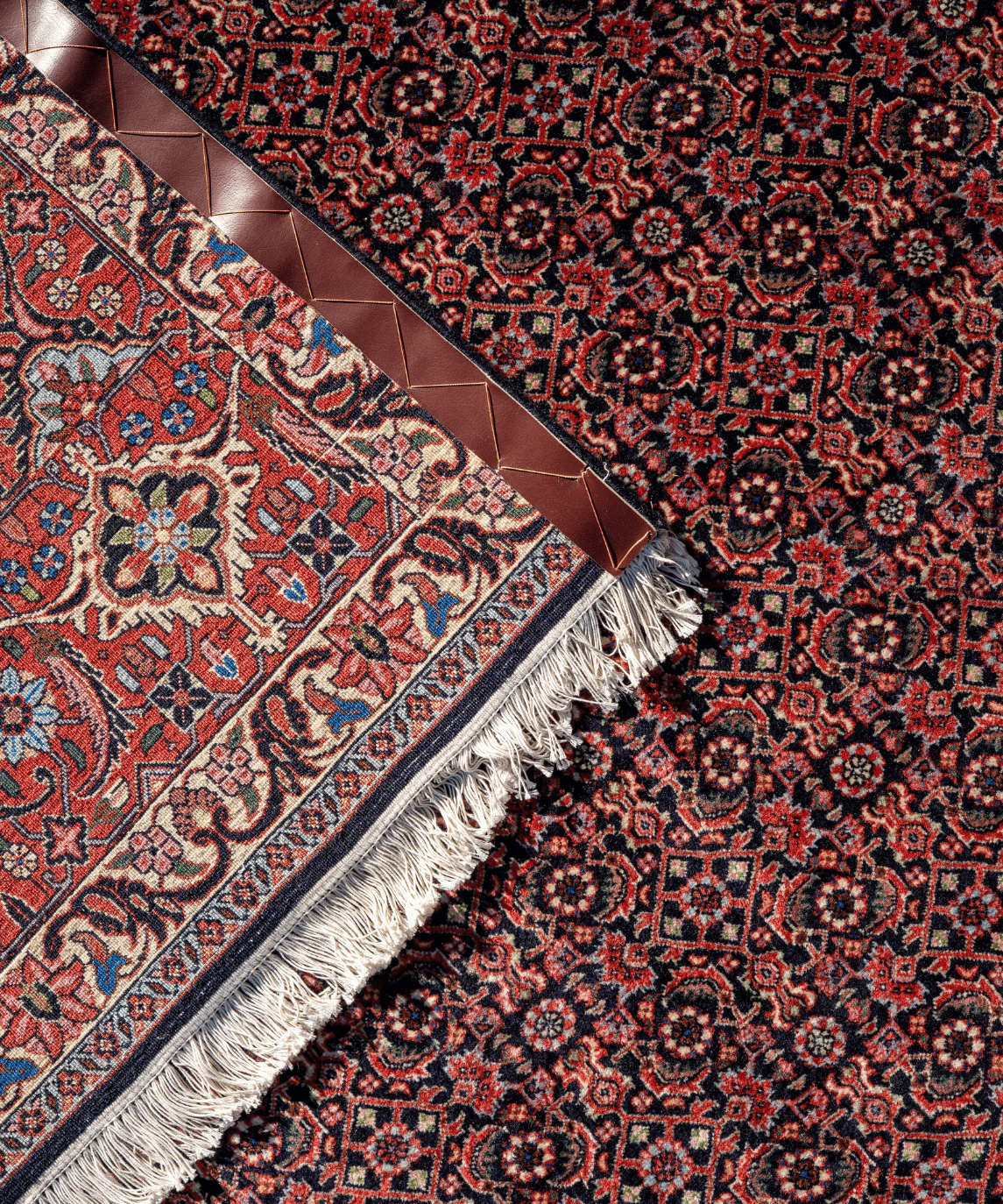 Traditional Bidjar Kork Wool Handwoven Oriental Rug – 8'4" × 8'2" View 6