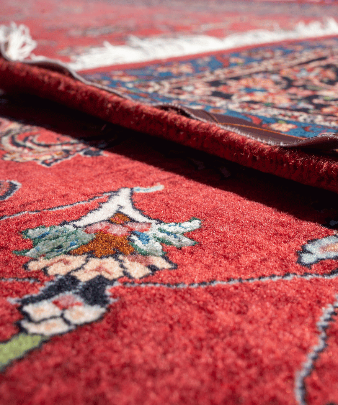 Bidjar Wool & Silk Rug – 10' × 13'4" View 8
