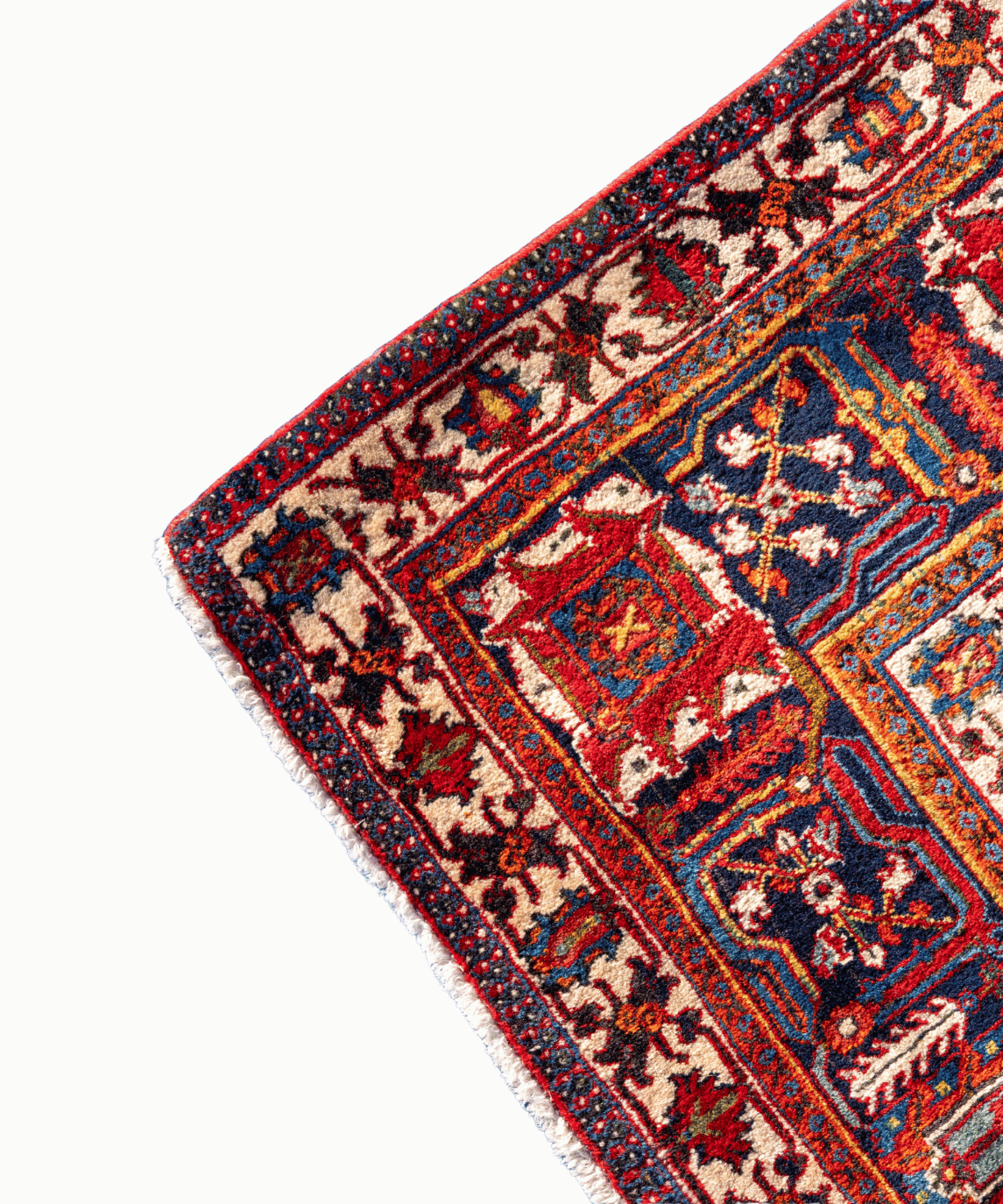 Traditional Maymeh Kork Wool Handwoven Oriental Rug – 8'6" × 11'7" View 5