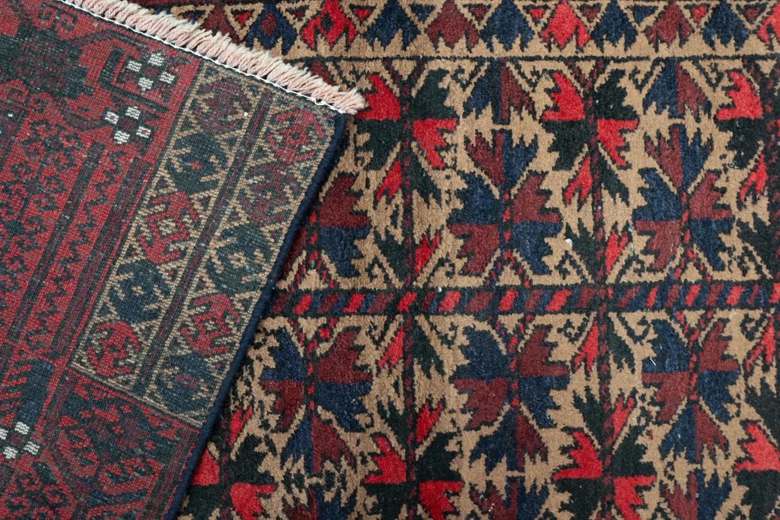 Baluch Low Pile 2.8 × 5.0 View 5