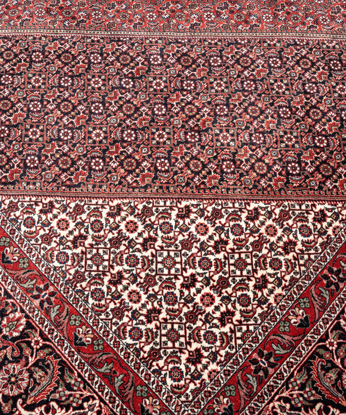 Fine Bidjar Wool & Silk Rug – 10'1" × 12'10" View 6