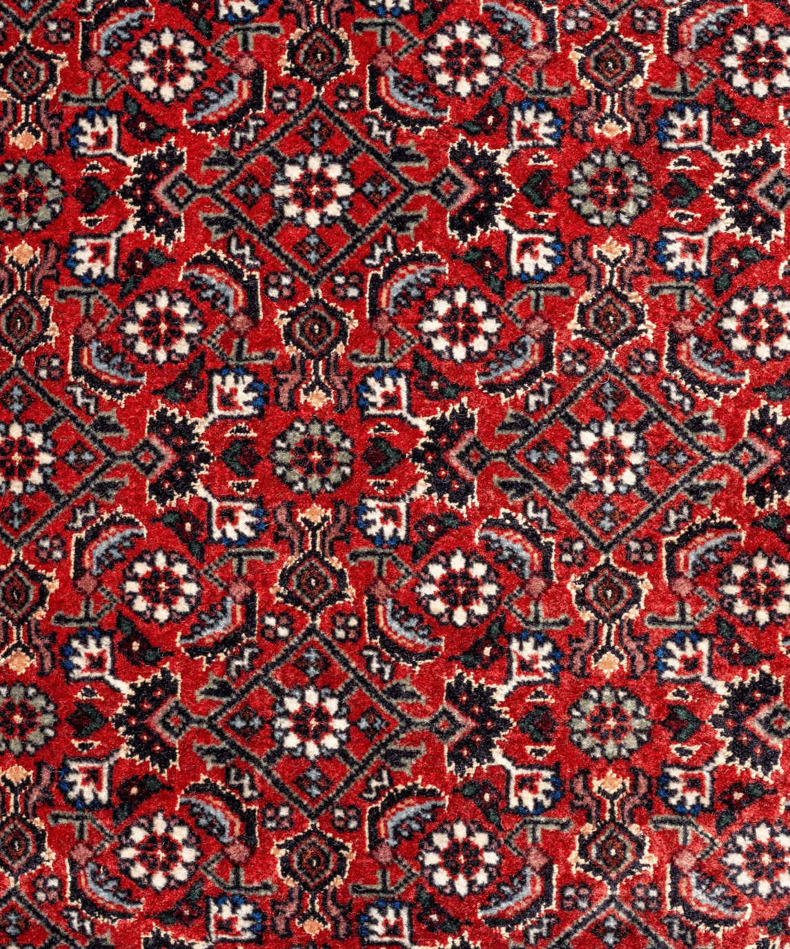Fine Bidjar Wool & Silk Rug – 10'1" × 12'10" View 7