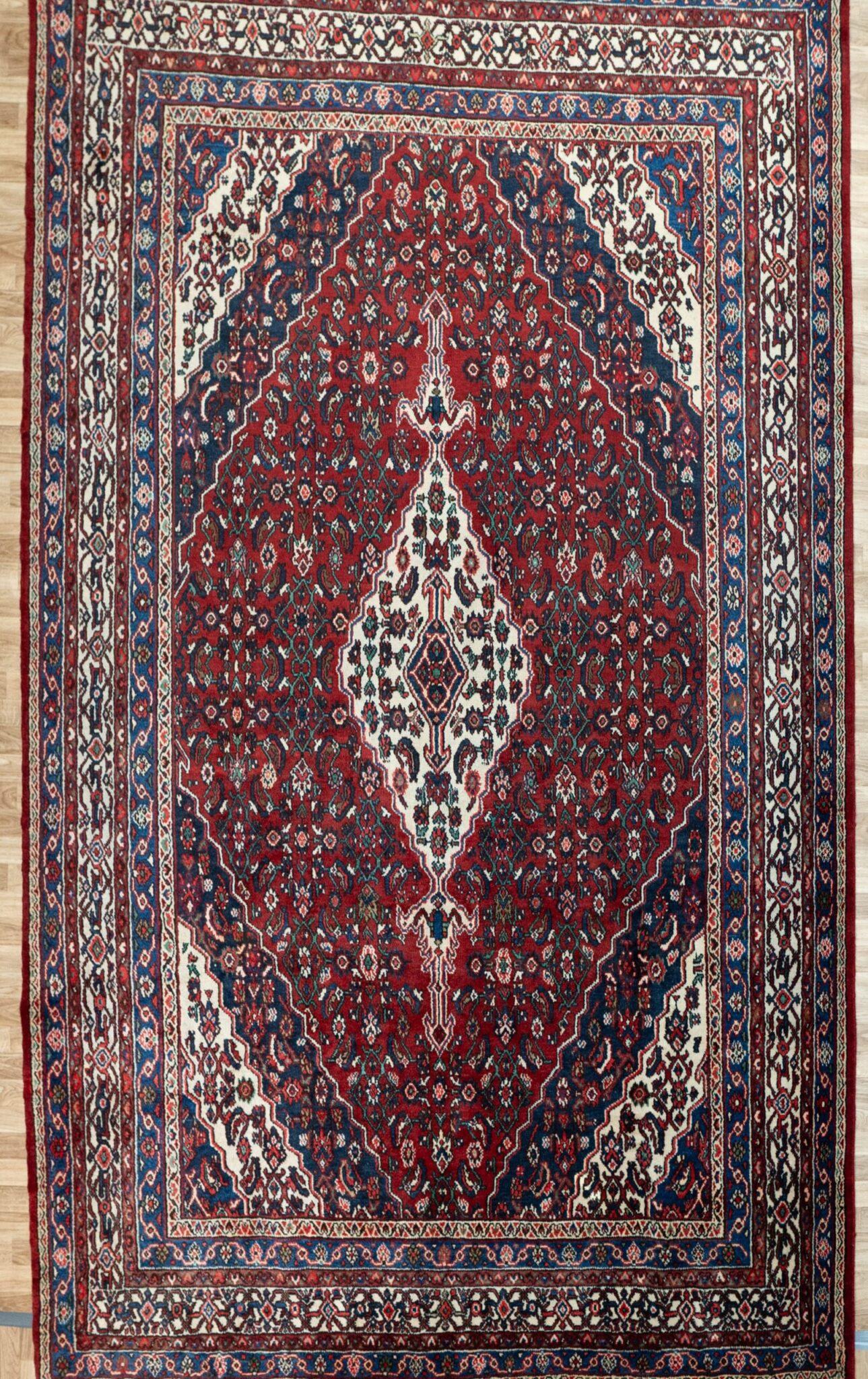 Hamadan Wool Rug 8.5'x11' View 2