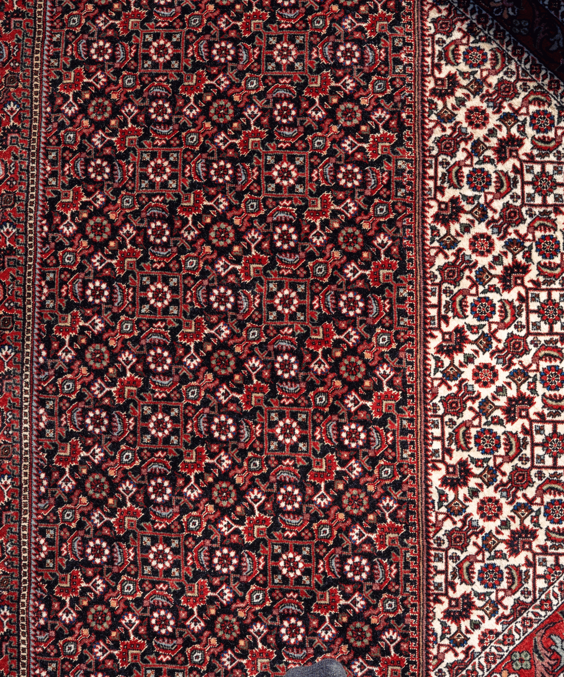 Fine Bidjar Wool & Silk Rug – 10'1" × 12'10" View 10