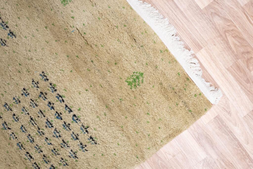 Gabbeh Wool Rug 4.0x6.0 View 3