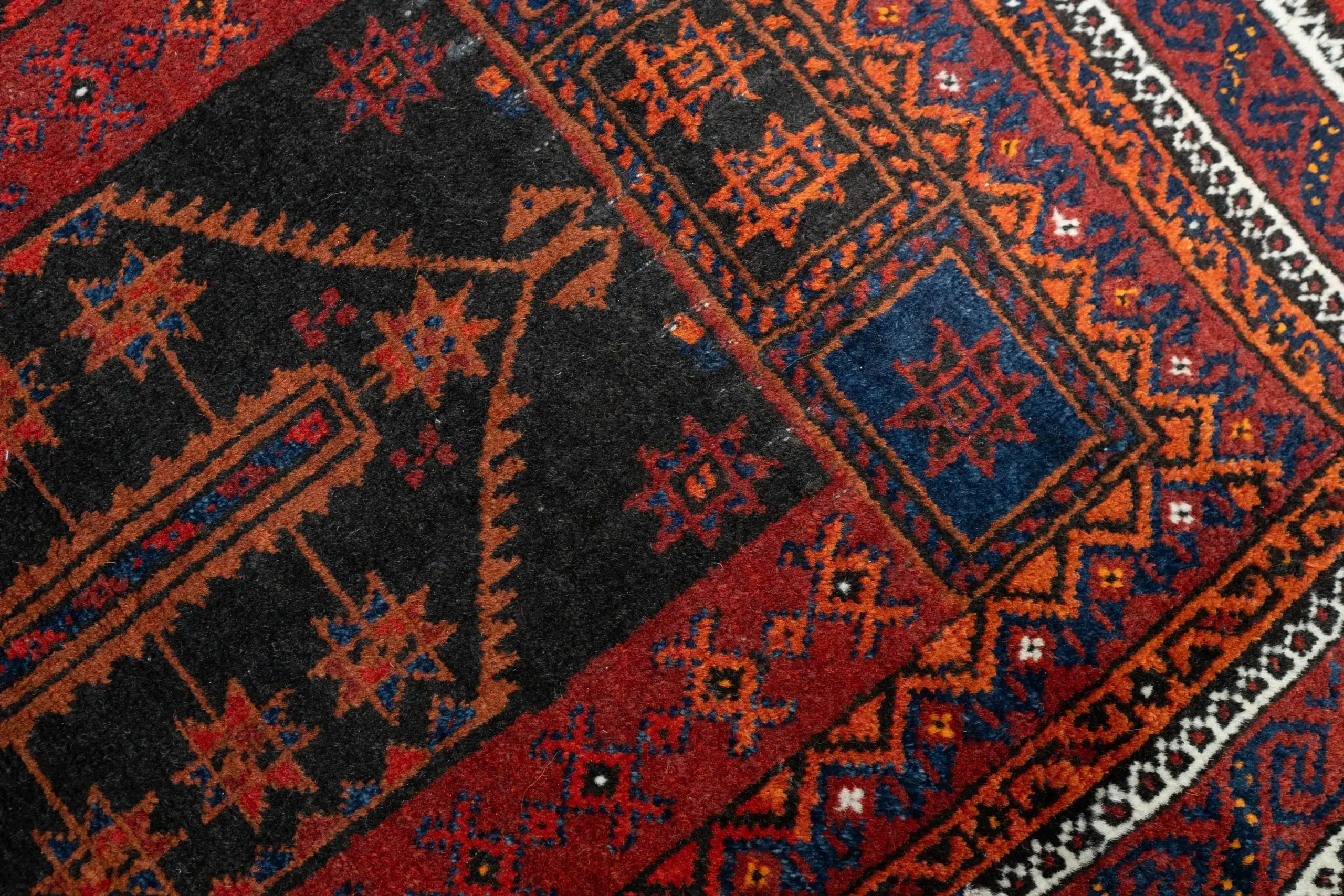 Blouch 2.3 × 3.6 View 1