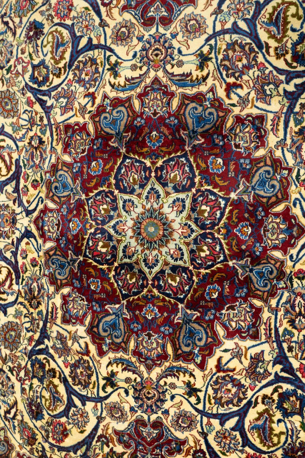 Najafabad Wool Rug 9.6x12.6 View 2