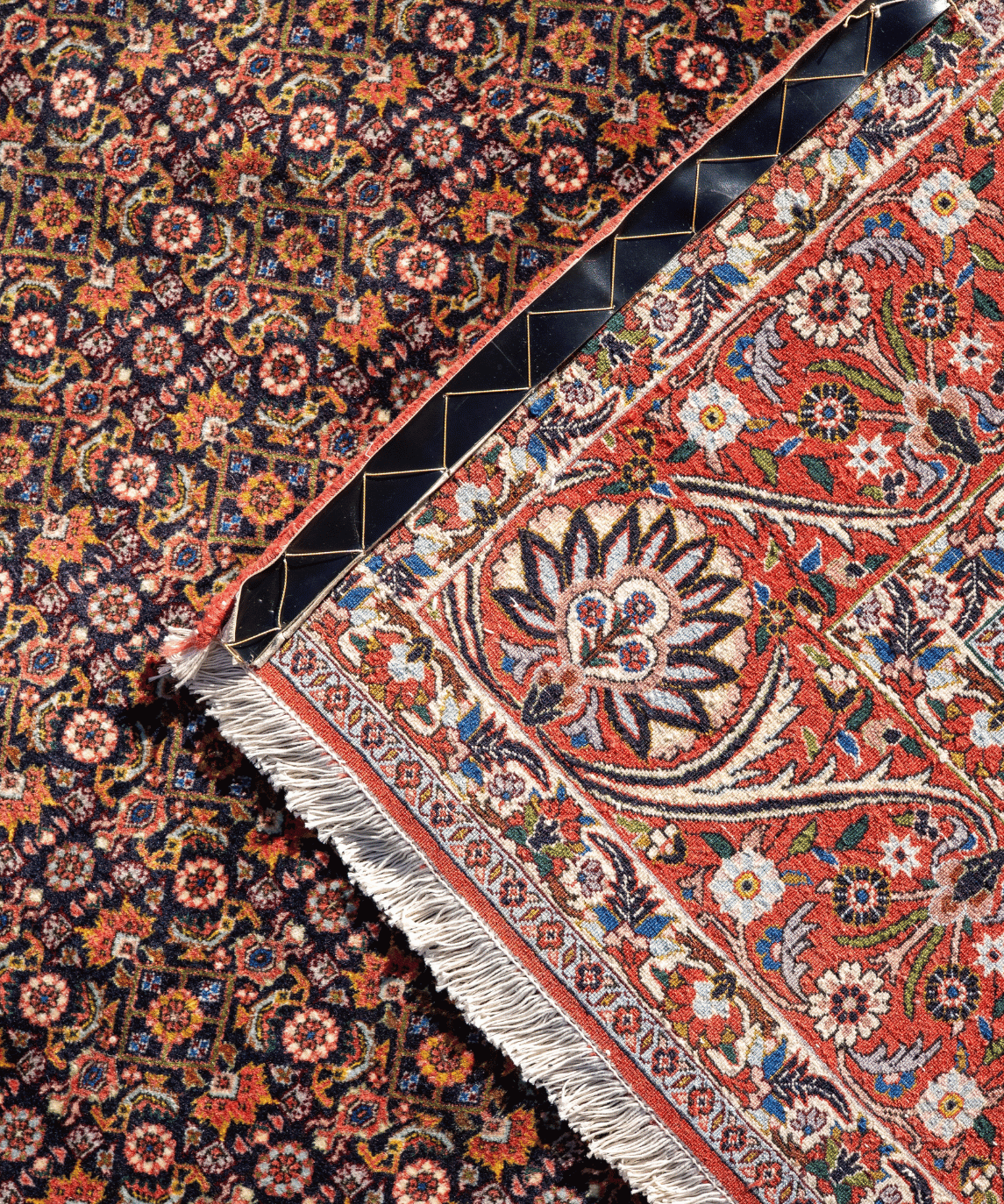 Bidjar Kork Wool Rug – 8'2" × 9'6" View 6