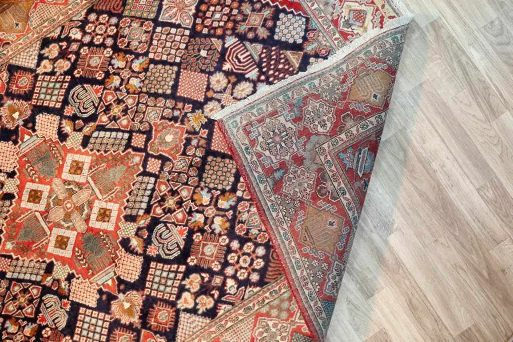 Joshghar Rug 4.5x6.5 View 1