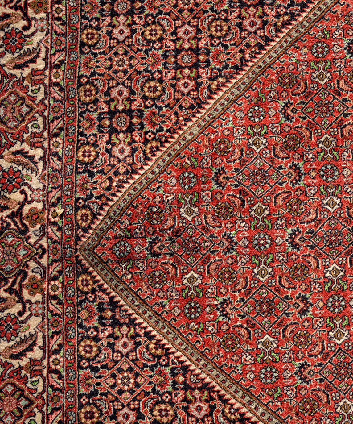Traditional Bidjar Wool & Silk Handwoven Oriental Rug – 6'7" × 9'7" View 4