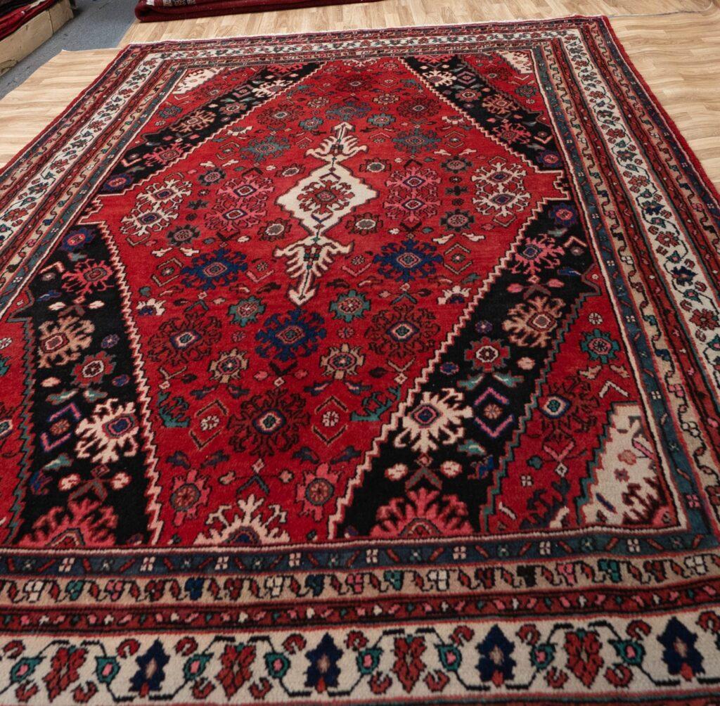 Hamadan Wool Rug 9.10x7.0 View 5