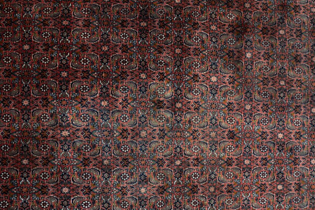 Bidjar Kurk Wool Rug 7'x10' View 2