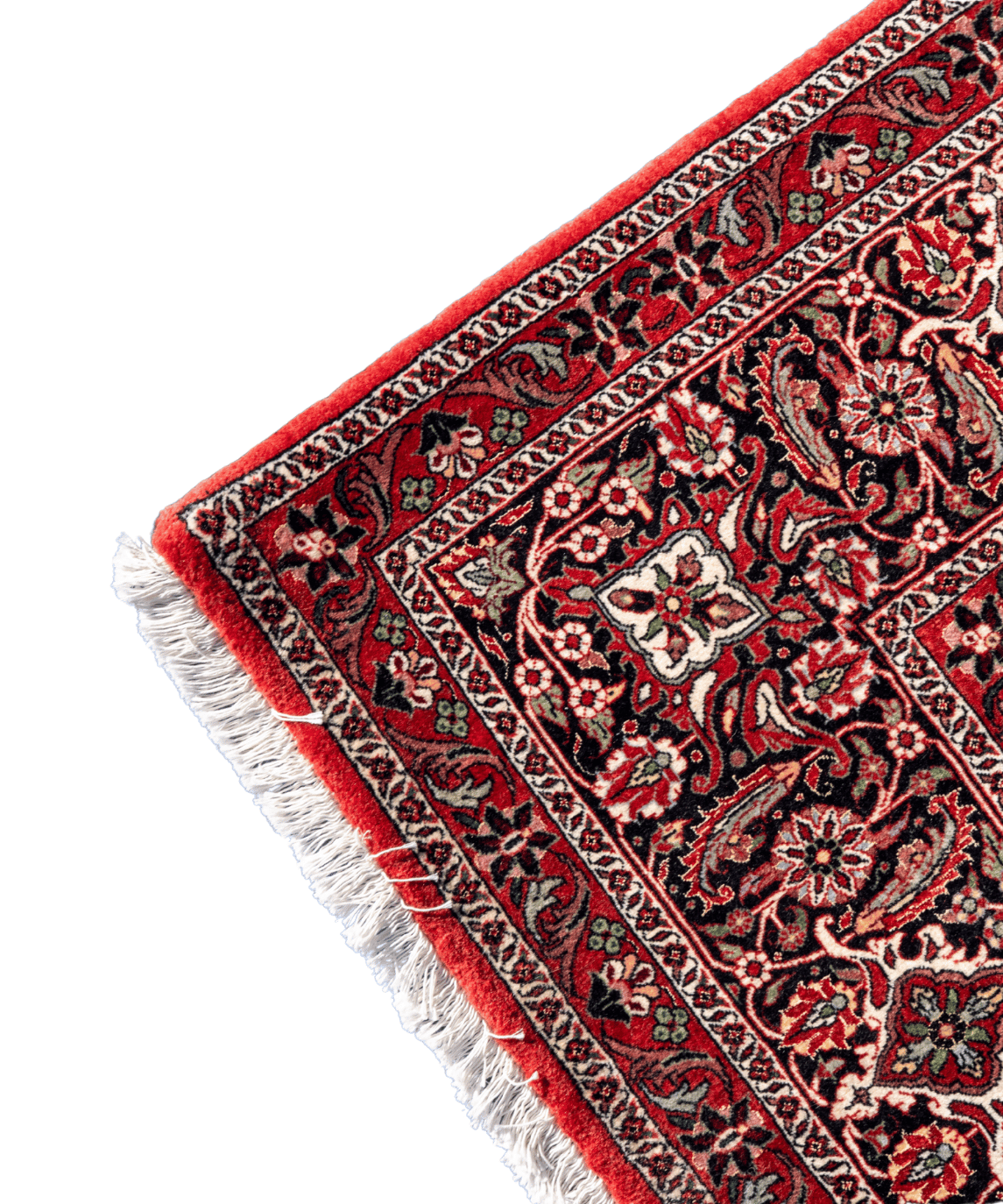 Fine Bidjar Wool & Silk Rug – 10'1" × 12'10" View 2