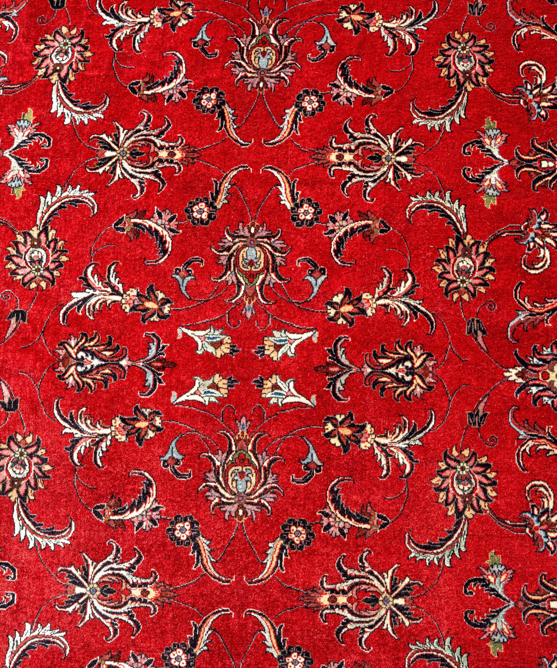 Bidjar Wool & Silk Rug – 10' × 13'4" View 3