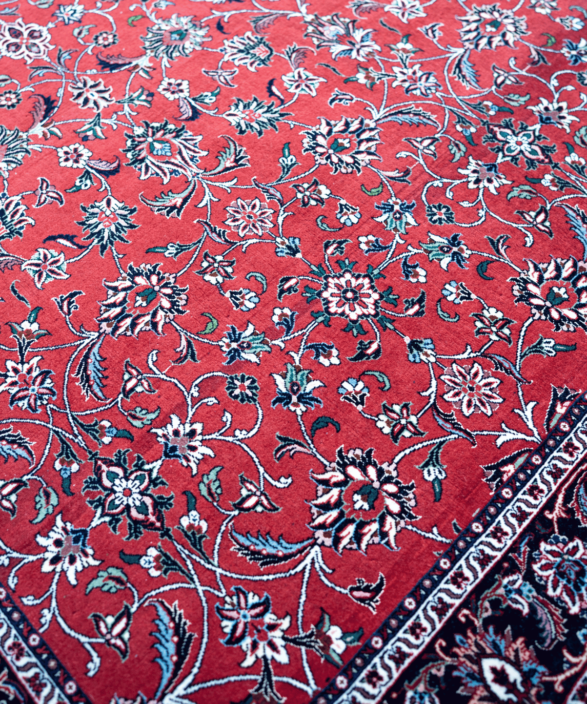 Traditional Bidjar Wool & Silk Handwoven Oriental Rug – 6'6" × 8'6" View 4