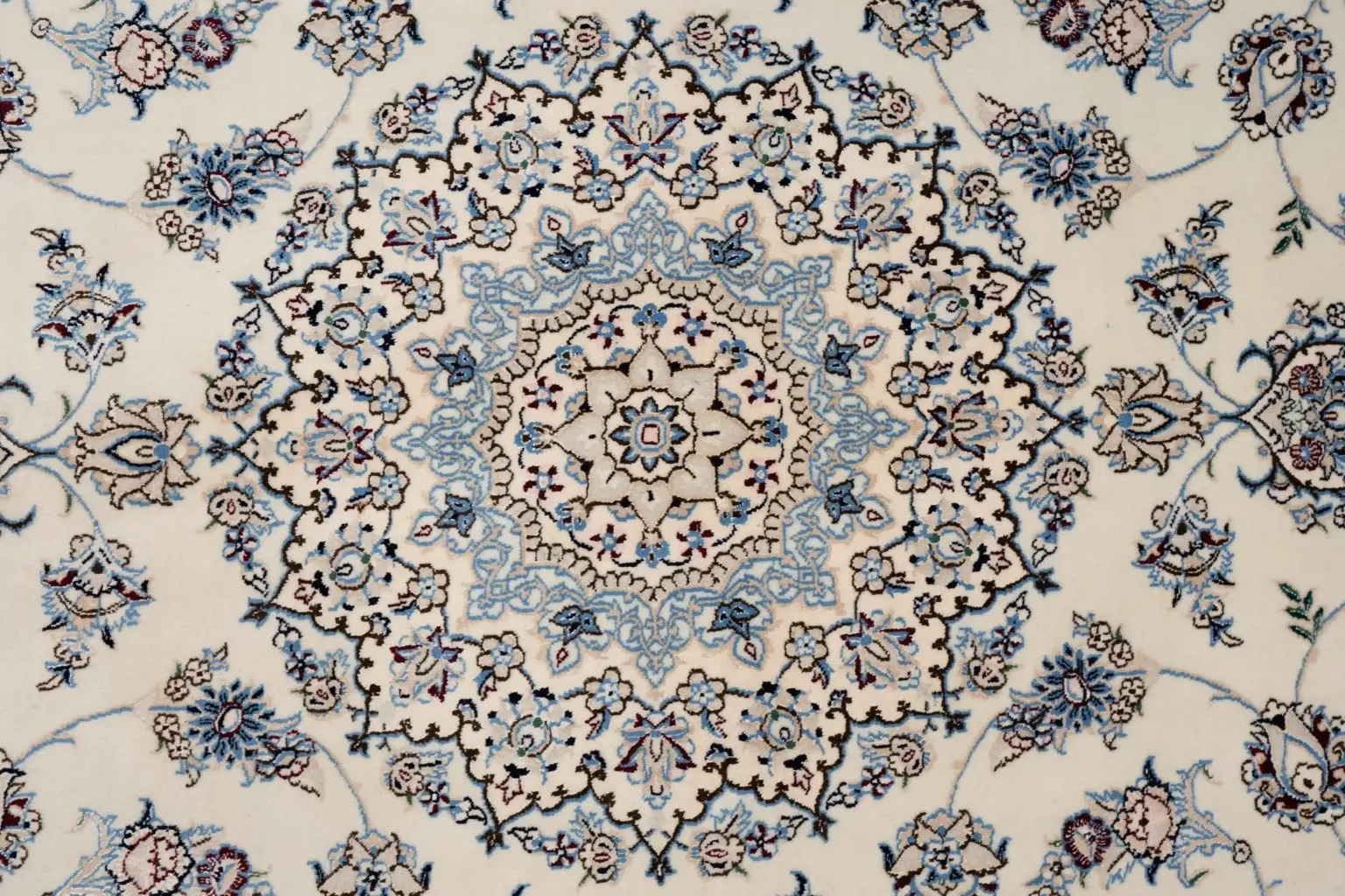 Nain Wool Silk Rug 7.0 x 10.0' View 3