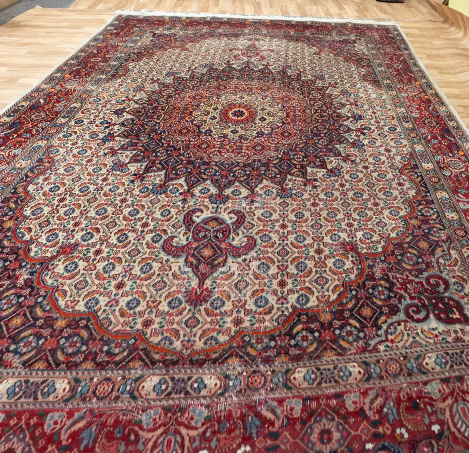 Mood Wool Pile rug 6.7 x 9.7 View 2