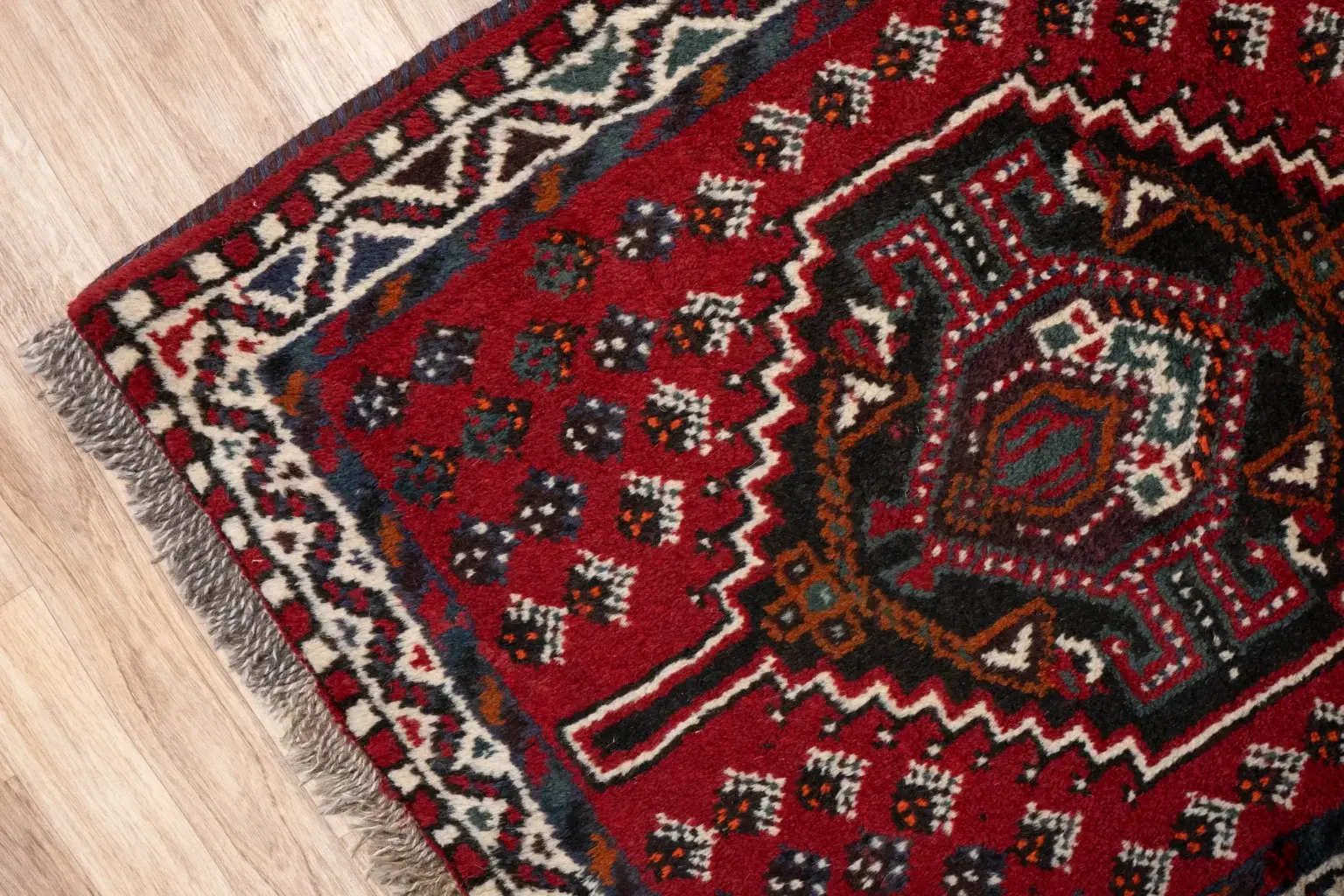 Shiraz  Wool Rug 2.6 x 4.0 View 1