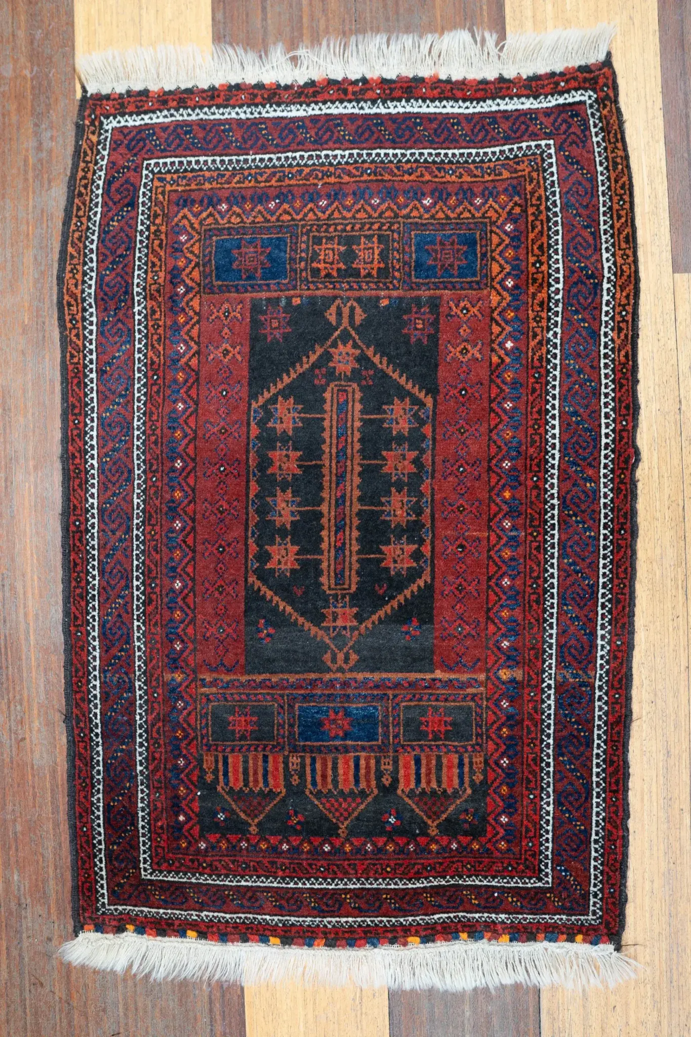 Blouch 2.3 × 3.6 View 3