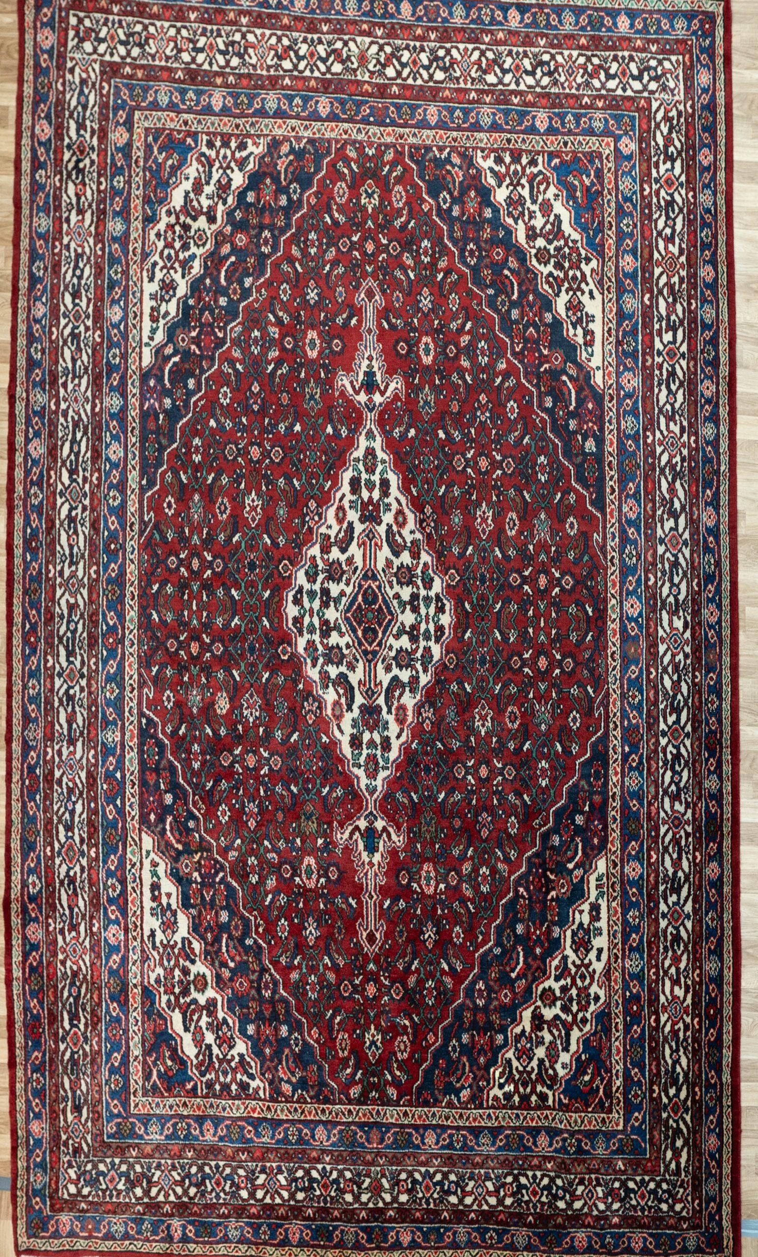Hamadan Wool Rug 8.5'x11' View 1