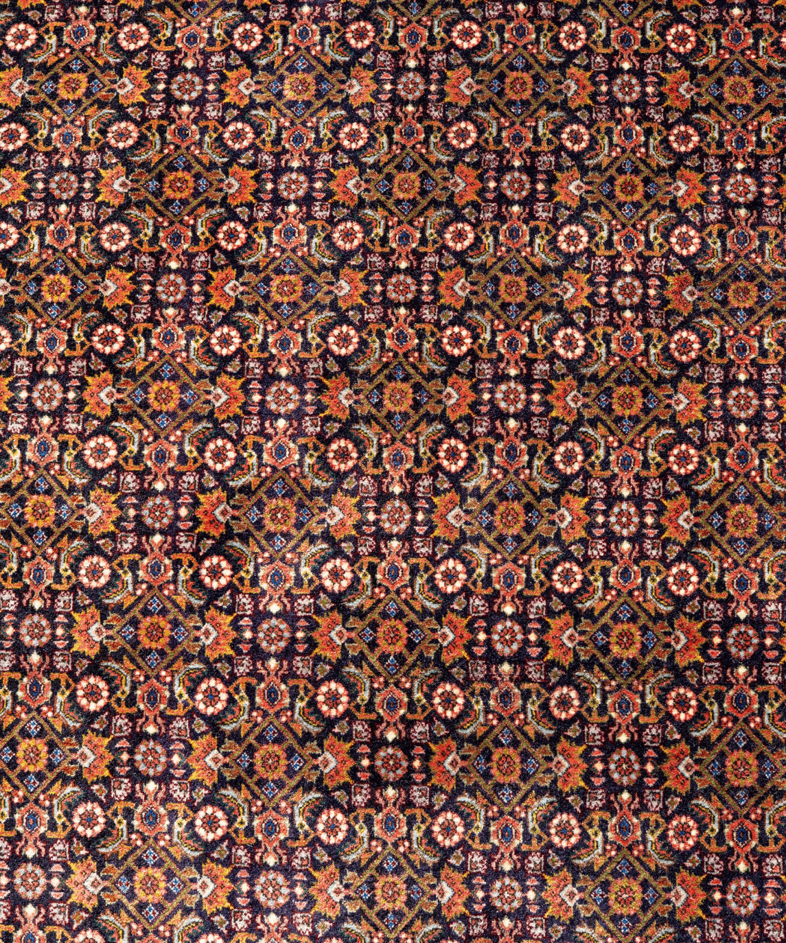 Bidjar Kork Wool Rug – 8'2" × 9'6" View 3