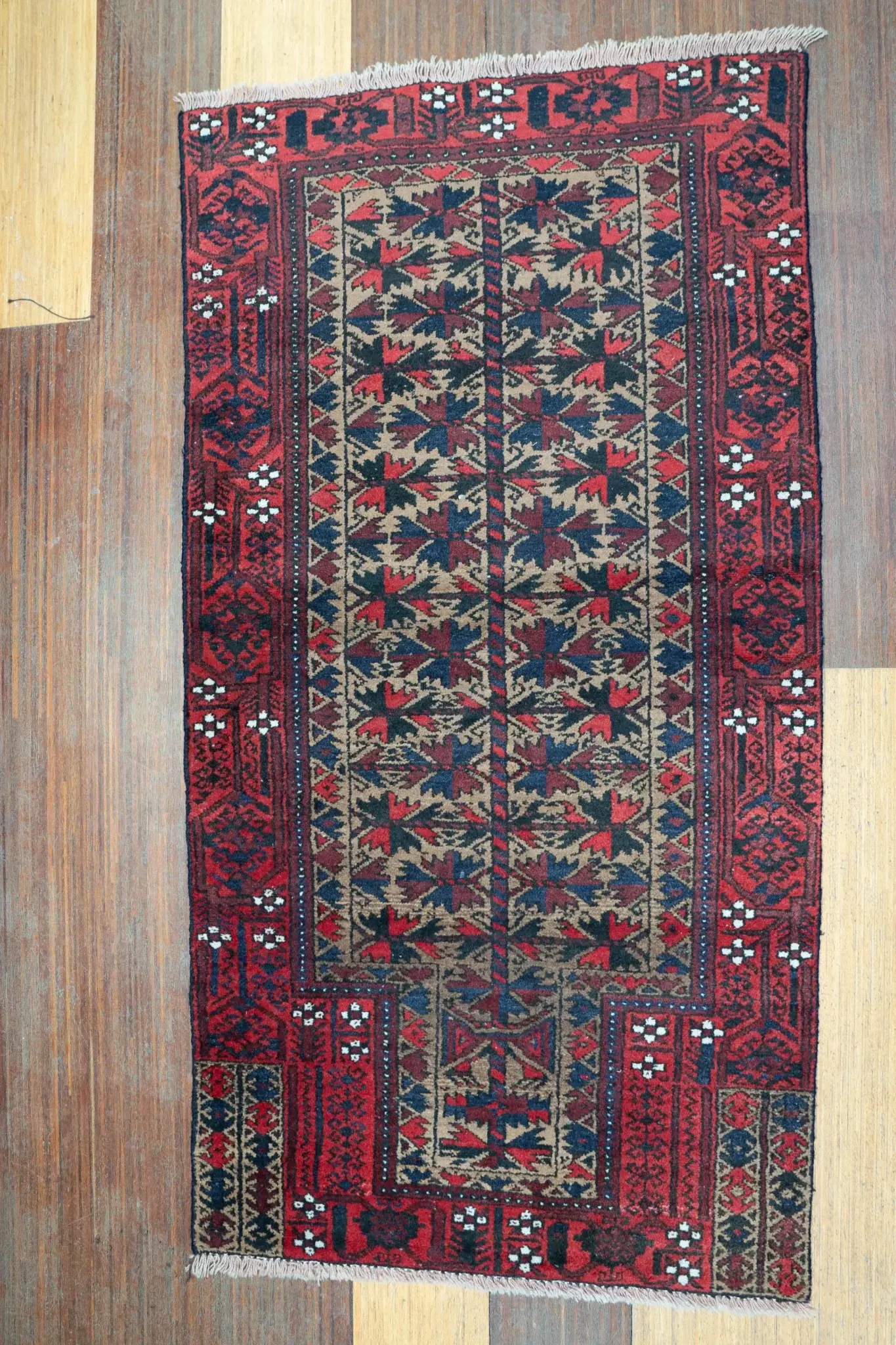 Baluch Low Pile 2.8 × 5.0 View 1