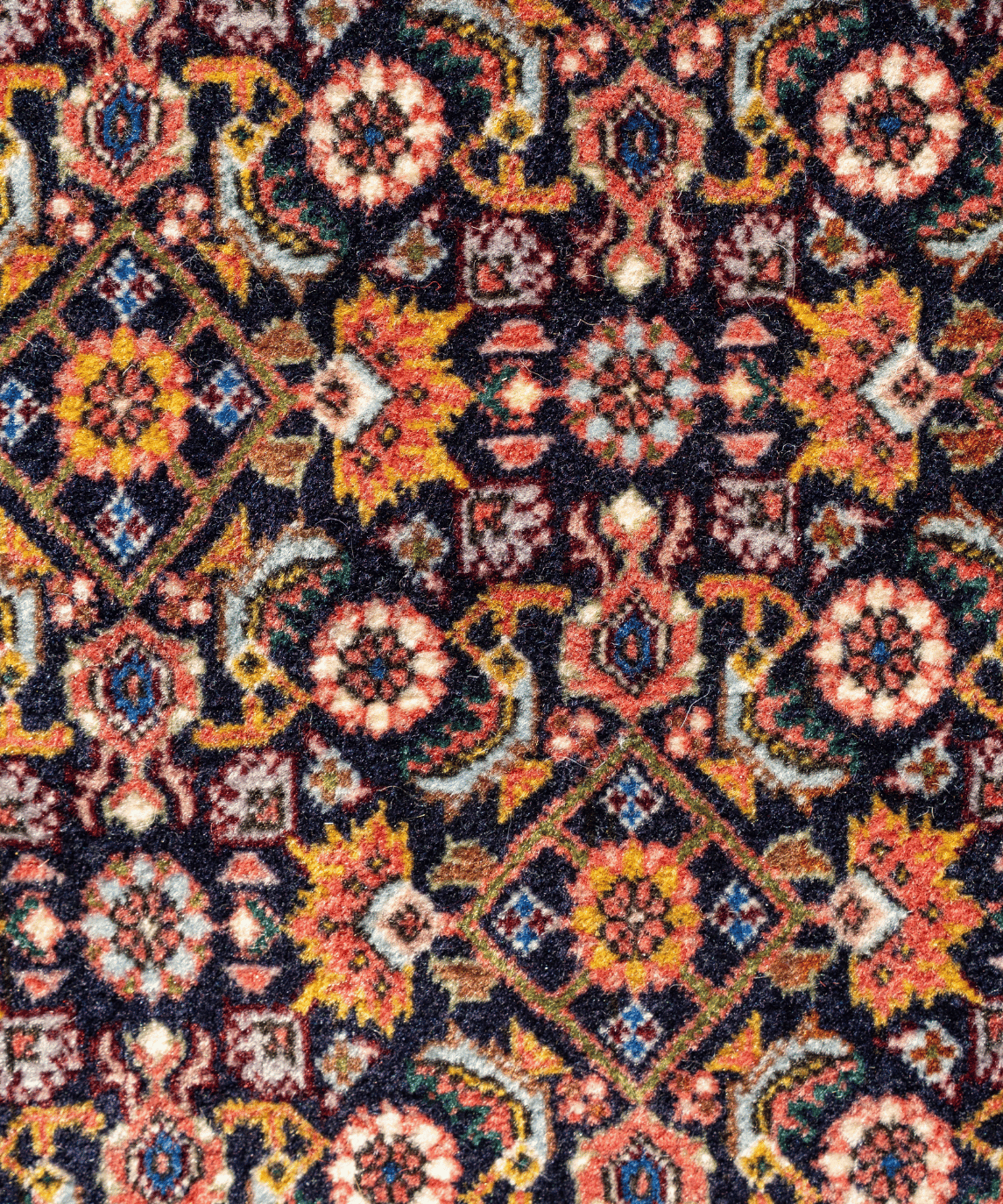 Bidjar Kork Wool Rug – 8'2" × 9'6" View 7