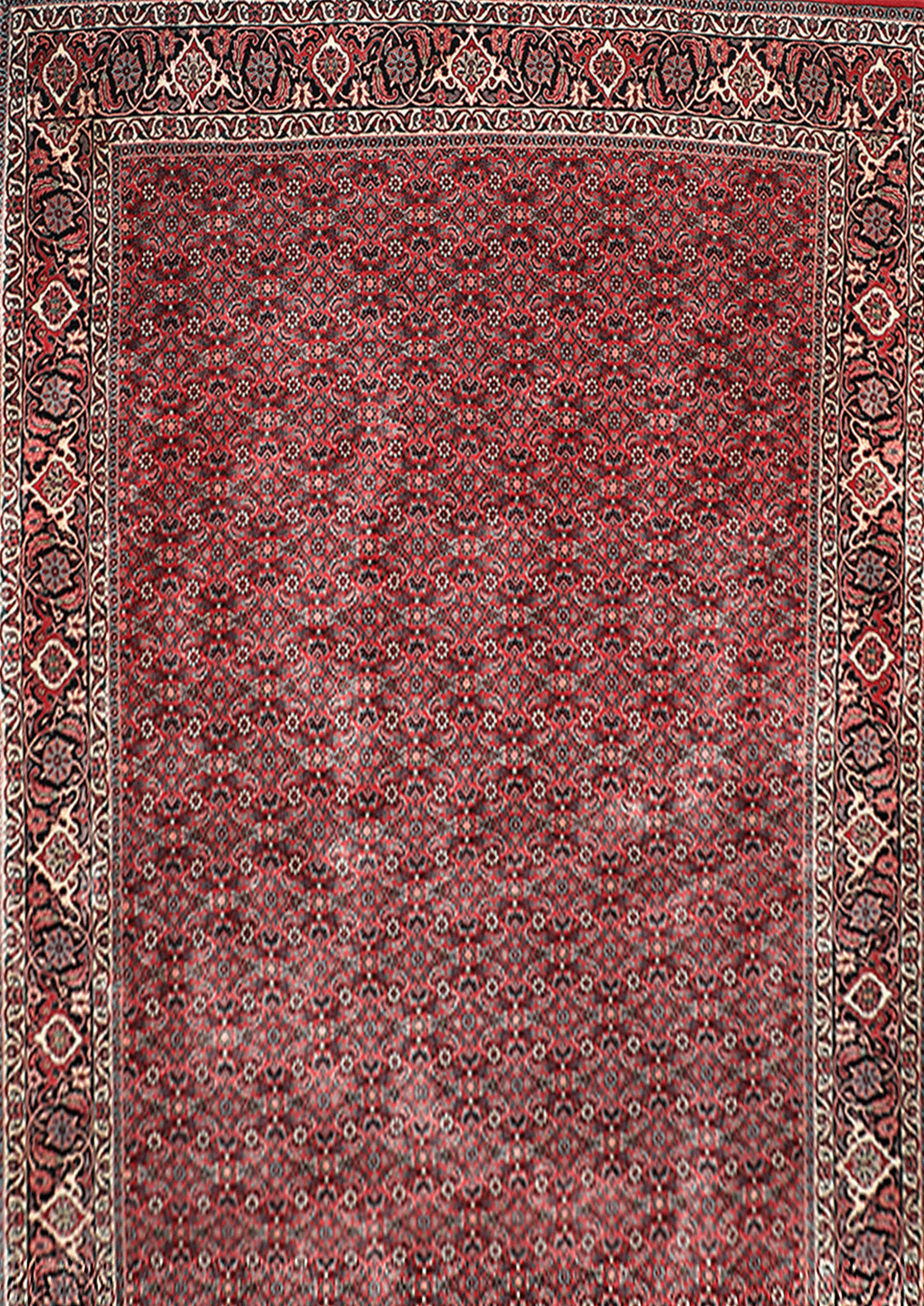 Bidjar Beehive Motifs 9.6' x 6.7'