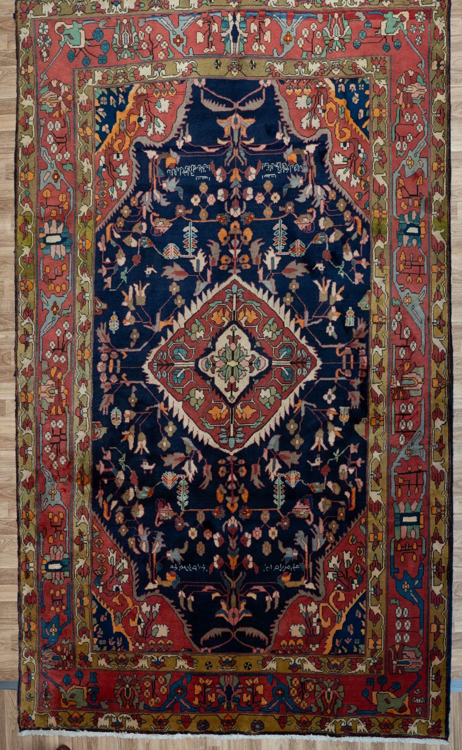 Sarouk Rug 9.4x6.6 View 5