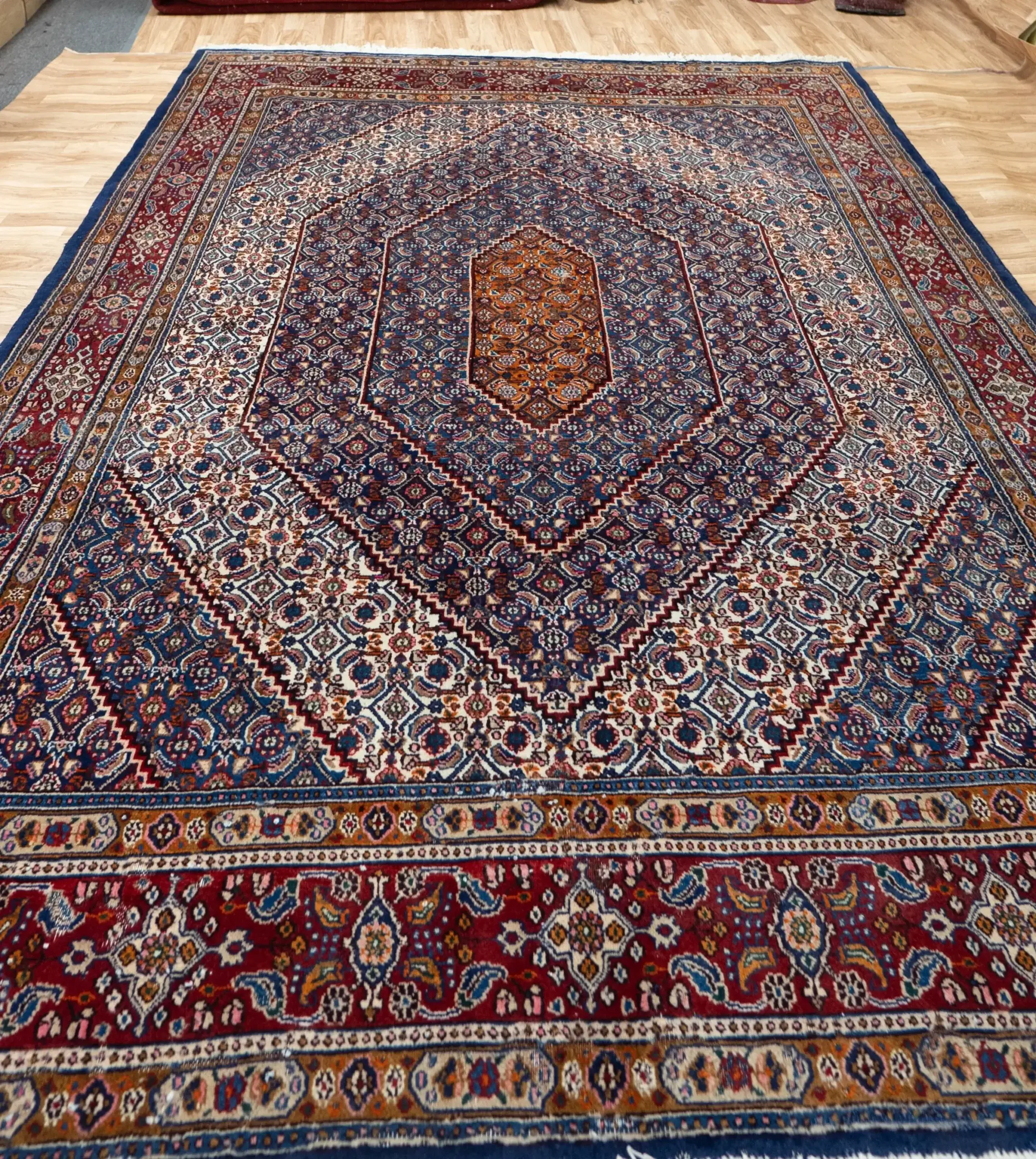 Moud Wool Rug 6.7 x 9.7 View 3